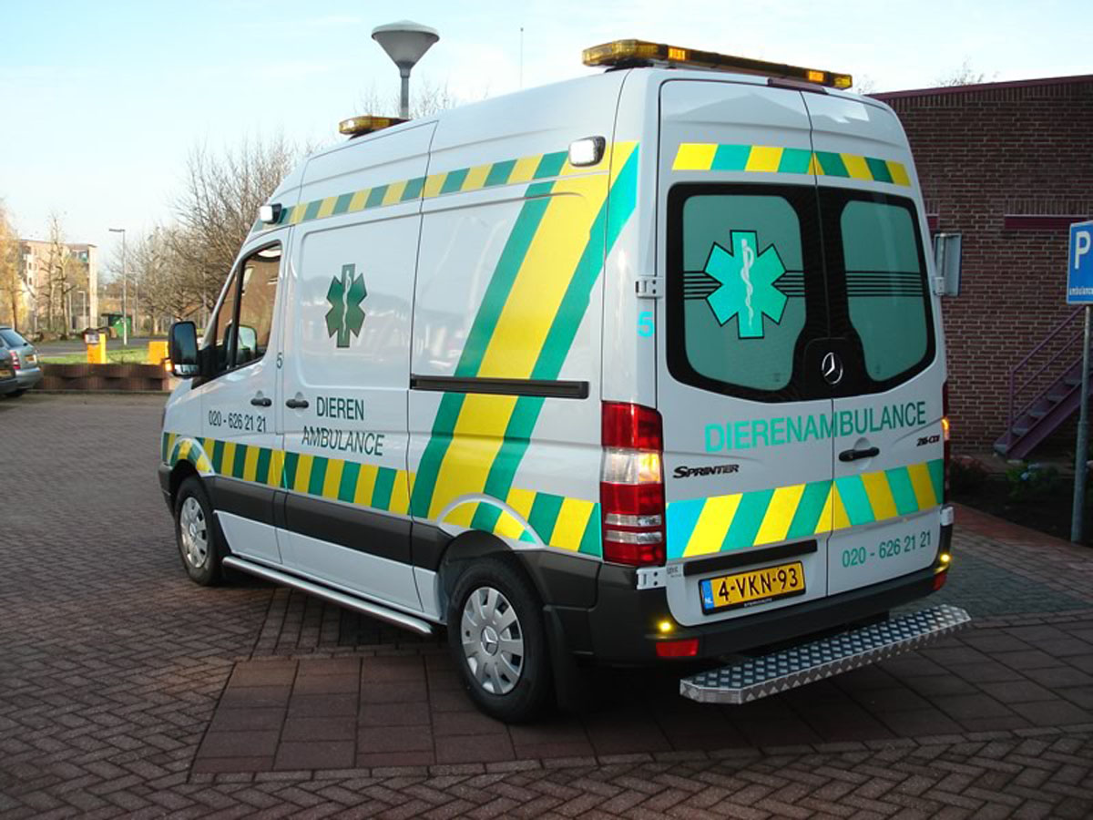 Autoreclame Dierenambulance